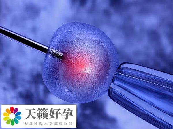貴醫(yī)附院試管妊娠率在40%-50%左右