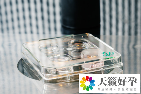 試管嬰兒費(fèi)用為什么不一樣