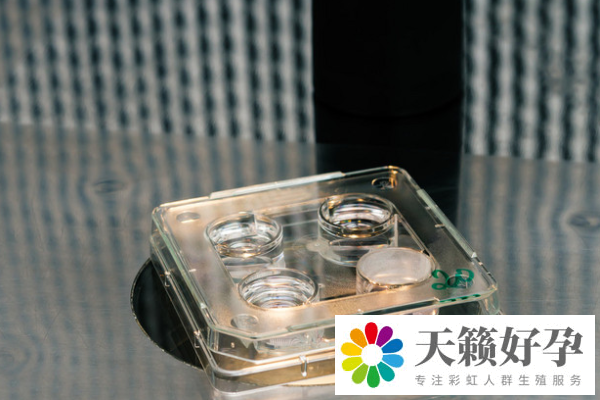 試管嬰兒醫(yī)院要去幾次