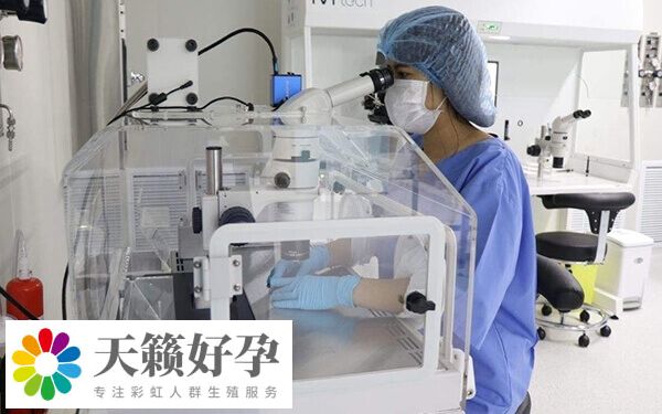 卵子質(zhì)量差會(huì)影響受精