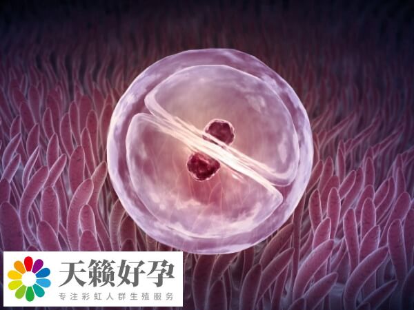 試管移植失敗要注意調(diào)整積極向上的心情