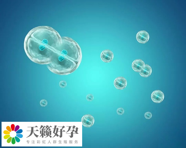 胚胎移植的數(shù)量受到嚴(yán)格的控制