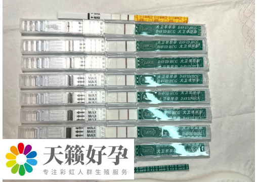 hcg濃度不能判斷胎兒性別